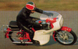 Vollverkleidung Holland